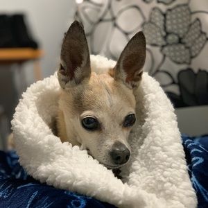 Meet your Posher, Kimmy